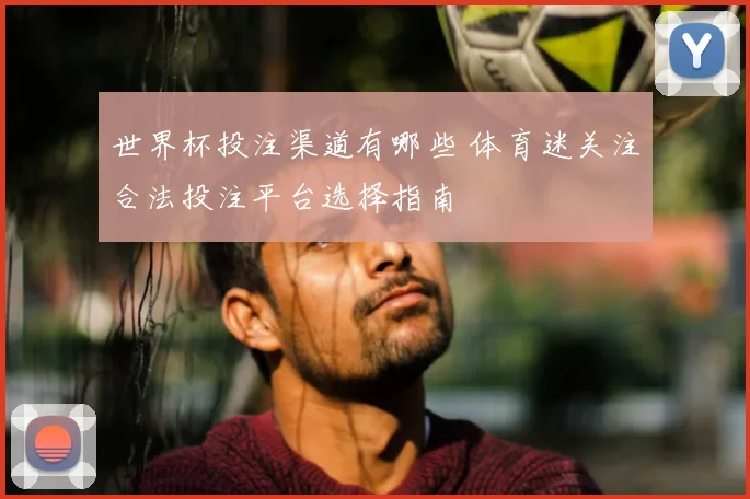 世界杯投注渠道有哪些 体育迷关注合法投注平台选择指南