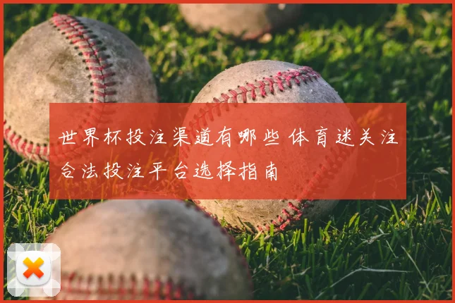 世界杯投注渠道有哪些 体育迷关注合法投注平台选择指南