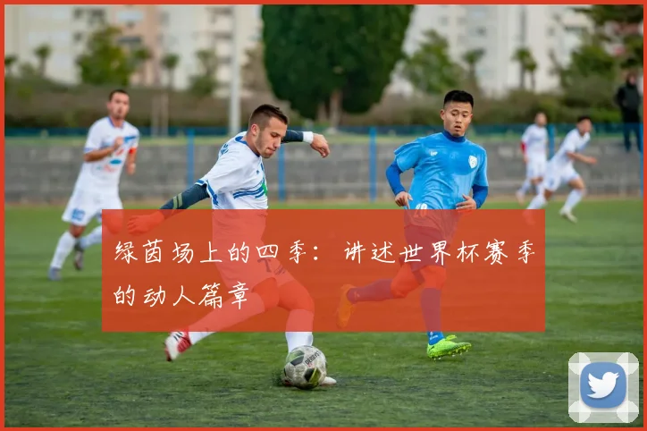 绿茵场上的四季：讲述世界杯赛季的动人篇章