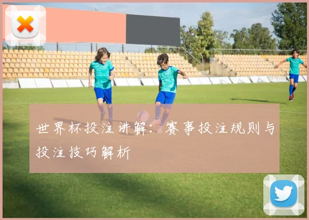 世界杯投注讲解：赛事投注规则与投注技巧解析