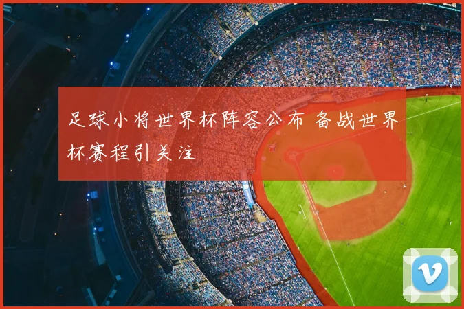 足球小将世界杯阵容公布 备战世界杯赛程引关注