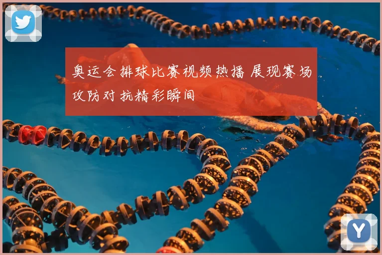 奥运会排球比赛视频热播 展现赛场攻防对抗精彩瞬间