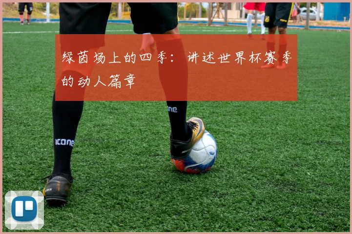 绿茵场上的四季：讲述世界杯赛季的动人篇章