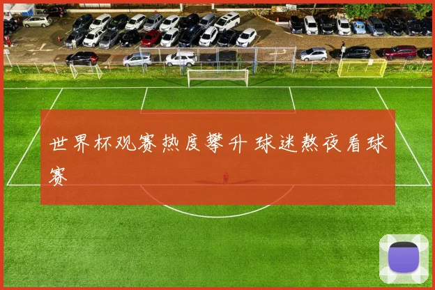 世界杯观赛热度攀升 球迷熬夜看球赛